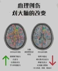看圖最清楚明了。配圖