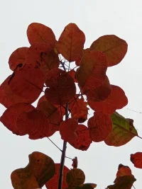 心理學(xué)大師點(diǎn)寄語(yǔ)
馬斯洛：
在最理想的狀態(tài)下，生活是一個(gè)流動(dòng)變化的過(guò)程，其中沒(méi)有什么是固定不變的。
越向自己以及他人的真實(shí)開(kāi)放，就會(huì)越發(fā)尊重復(fù)雜的生活過(guò)程，而越不可能有一種要去“安排一切”的沖動(dòng)。配圖