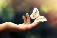 心理學大師的話
羅素：
愿你接納生命本無意義的真相，在投入和專注的每一個當下獲得自由；愿你有承載未知的能力，擁抱自身的孤獨，深刻的活成你自己。配圖