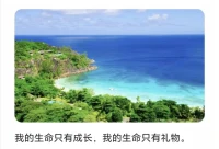 生命配圖
