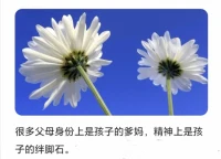 精神上配圖