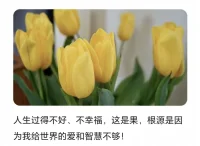 智慧是...配圖