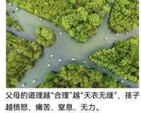 父母的道理...配圖