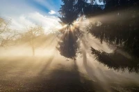 多數家庭的問題，都源于這兩種愛的錯位：夫妻關系和親子關系，很多家庭選擇親子關系大于夫妻關系。配圖