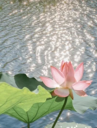 當(dāng)你覺(jué)察到本人的存在，才認(rèn)識(shí)到“自我”，同時(shí)會(huì)需要給自我的空間，也會(huì)認(rèn)同別人有這樣的空間，所以有自我的人才會(huì)有自己的界限和認(rèn)識(shí)到別人的界限。
?                            ___李中瑩配圖