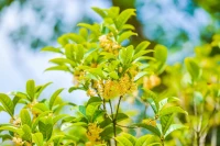 人的負面緒情?哪來兒?的？
也許是被未?療?愈的【創傷】
也是許?壓抑久已?的【負荷】
也許未是?被滿?足的【期待】???配圖