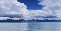 有時候一點點的信念，就可以走很長的路。
       ——尼克 · 凱夫配圖