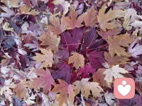 “適當的拒絕
不是一種冷酷
而是成人世界必備的要素”配圖