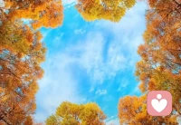 “浅层关系中，尊重远远比爱心重要。”配图