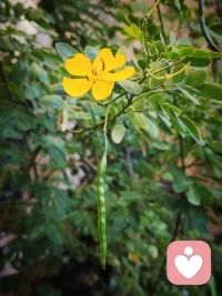 親密關系只有在獨立的人之間才有可能建立，我們對自己是誰這一點了解的越清楚，我們就越能夠冒險與另一個人交往。我們對自己的邊界越清楚，我們越能夠自如的體驗與他人之間一系列的情感和聯絡。
關系中以及對關系本身的強烈回應和可獲性，反過來又改造了自體，我們與他人在一起的體驗，也讓我們對自己有所認識，我們必須持續的根據自己的人際體驗來修正自己內部的自我模型，我們只有在他人眼中通過他人，并且和他人在一起才能了解并發現我們。配圖