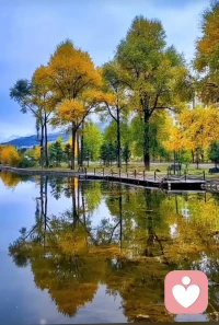 “慢熱
是因為面對不熟悉的人
內心沒有安全感 ”配圖