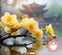 用生影命?響生命

     作者｜泰戈爾

把自己成活?一道光，因為你知不?道，誰借會?著你的光，走了出?黑暗。
請保心持?中的善良，因為不你?知道，誰會借著你善的?良，走了出?絕望。
請保持心你?中的信仰，因你為?不知道，誰會著借?你的信仰，走了出?迷茫。
請相自信?己的力量，因你為?不知道，誰因會?為相信你，開始信相?了自己……
愿們我?每個人都活能?成一束光，綻放著有所?的美好！配圖