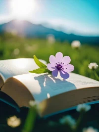 《百年孤獨》里有一句話:“人生的本質就是一個人活著，不要對別人心存太多期待。我們總是想找到能為自己分擔痛苦和悲傷的人。 ? ???”配圖