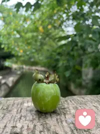 越追求完美的人，人生就越不完美配圖