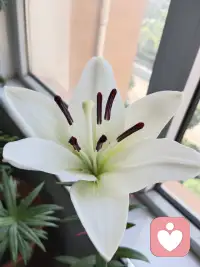 聽過一個故事，導師對研究生說你天天就知道做實驗，哪有時間思考？？如果你遇到了問題，別到處去發帖和問不同的人，這樣不但解決不了問題，可能再次受傷。沒有誰那么厲害很快就知道你的問題是什么，馬上幫到你。只有了解一個人的信息和生活情境之后才能提供幫助。配圖