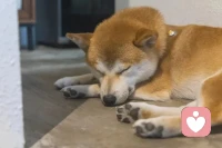 咨詢師怎么共情來訪者？？？1.生活閱歷，直白講自身經驗；2.身邊人的經驗；3.通話學習運用理論或技術。……………………當一個人被共情后，就會變得有力量。配圖