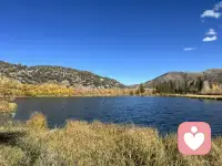 不要總是退縮，越退縮越沒空間。要學會反擊。配圖