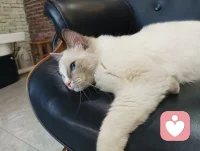 媽媽如何幫助兒童成長？第一，把大問題或者復雜的問題分解為簡單的或幾部分。配圖