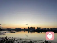 剛剛看了一個視頻，叫正念拉屎，lol配圖