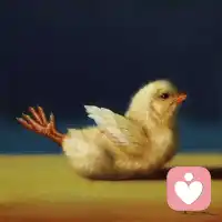 超治愈的绘画。配图