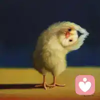 世界杯足球与疫情，尽量让自己的生活好玩一点配图