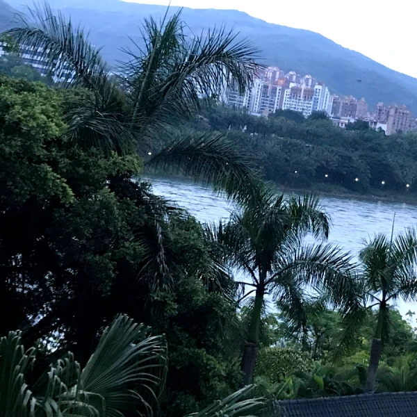 欣缘【情感心理】