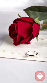 真的是嚴(yán)冬……一切向好……