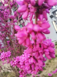 早年的嬌生慣養和放縱，導致學習不努力，進而工作吃力，結婚后養家困難，離婚后一無所有，這種人生路徑會越走越窄配圖