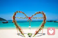 愛自己，接受自己，找到生命的價值！
      但我們真正去愛，按照我們原本的樣子來接受自己，贊同自己是生活中的一切。就恢復正常了，到處都會出現小小的奇跡。我們的健康狀況正在好轉，我們有了更多的錢。我們的人際關系變得越來越和諧，我們開始云一種創造性的方式表達自己。所有這些似乎在沒有刻意去追求的時候就來到我們身邊。配圖