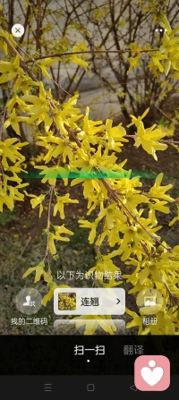 榮格說過：“人有兩次生命。一次是活在別人眼中的人生，一次是活自己心里的人生。”人生到了一定階段，我們也應該學著向內生長，而不是向外訴求。比起別人的評價和認可，我們更應該傾聽自己的內心，做好自己的事。讓自己活得快樂，有意義，才是人生的頭等大事。配圖