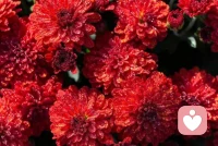 分手后想挽回，第一次见面要干什么？
      我这次见面是为了还要见下一次①引导对方的情绪。具体做法一，明确表示这次见面不是复合的。我认清了咱们已分手，我尊重你的选择。这次来我要看看你觉得我哪里不好，让他发泄情绪，你共情他。
②在咱们这一段儿相处中，你怎么看我？在对方讲感受的过程当中，你用心听，并且他不要解释，不要反驳。
③表示收到了，然后果断离开。让他感觉到你变了。有理智了。而不是歇斯底里。
注意:分手后第一次见面的做法:绝不要纠缠，不要谈感情。配图