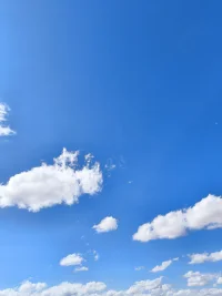 既使生活中有一千個理由讓你哭，你也要找到一千零一個理由去笑配圖