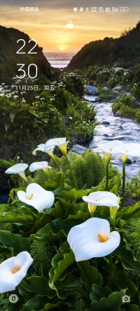 親愛的自己，謝謝你不離不棄，以后的日子里，我會(huì)加倍珍惜，讓你遠(yuǎn)離憂郁，再也不受委屈！配圖