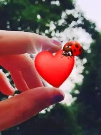 遭人嘲笑是不舒服的，因?yàn)槌靶Φ氖悄愕亩烫帲枚烫巹?chuàng)造出奇跡就是對(duì)嘲笑者最有力的回?fù)簟Ｅ鋱D