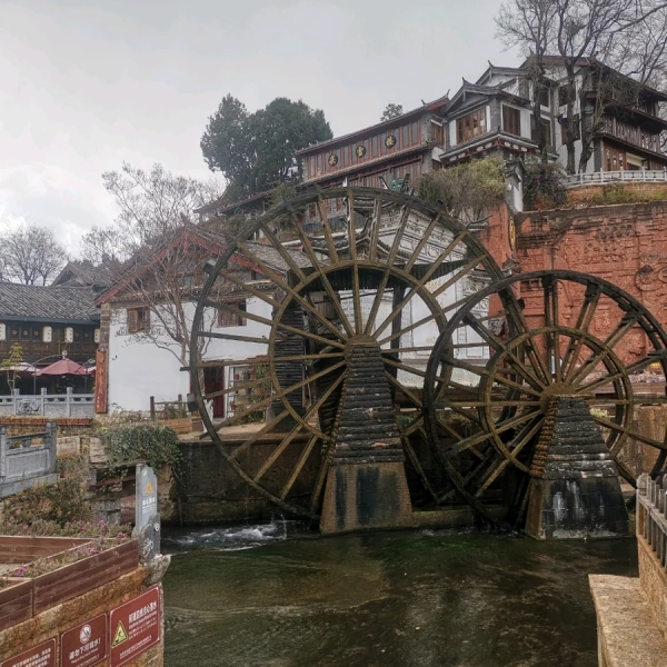 坦途(心理咨询师)