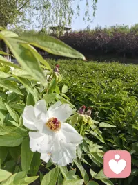 多亲近大自然
如果你感到在室内的时间太久，感官和思维都变得有些迟钝，那就出门走走吧！大自然会让你的感官重新变得敏锐，让你的思维流动起来。
试试去触摸粗糙的树皮，感受它的厚重；去听一场雨，辨别雨滴落在树叶、泥土和屋檐上的不同声响。
自然里的色彩、声音、气息，都不是为我们设计的，它们只是蓬勃地存在着，却足够鲜活、美好。当我们把身心沉浸其中，不知不觉间，便会感到充盈。