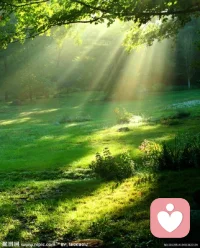 信息大爆炸，我們離生命的大真相越來越近了嗎，物質愈豐盛，我們內在越來越安然充實淡定了嗎？我們吃飯時不在吃飯，走路時不在走路，美好的一切從指間一次次擦間而過，有那么多情感、情緒、思緒在內心翻滾，時時占領我們純然的內在空間，讓我們無法感知生活點點滴滴樸素樸實的美。
      食不知味，夜不能寢，交不入心，行不知行，坐不知坐，聽而不聞，視而不見，憂悲苦惱，占據心扉，熱鍋螞蟻，無法安身。萬千尋覓，何為歸處，心安即是，如何安心，唯有覺知！配圖