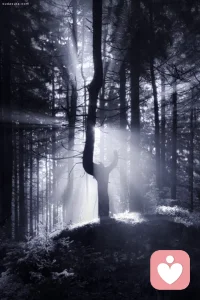 當痛苦出現，我們的神經系統本能繃緊，自然反應就是戰或逃。我們極少能直面痛苦，不會放松下來，溫柔的對待它！配圖