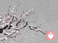 人生就是一场场经历，一场场体验。你经历过越多你不得不面对的讨厌的人事物境，你将收获越多，痛苦的背后总隐藏着巨大的快乐！你选择逃避、抗拒或接纳，将决定你一生身心灵成长的高度！配图