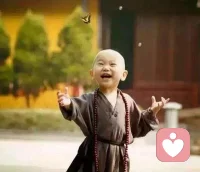 要去掉不勞而獲的念想，
要去掉依賴他人的心理。
在物質利益的獲取上，
也許可以不勞而獲，
也許可以依賴他人，
可是在成長的層面，
每一步都需要自己走，
每一個改變都需要自己做，
得腳踏實地的，一步一步的，全靠自己走出來。
所以除了自己對自己的生命負100％的責任，
全力自救,剩下的全是妄想，全是障礙。（本然絮語）

老師是指路人，走不走正確的路根本在自己，
走一步是自己走的，走一百步也是自己走。
多數人還是原地踏步，且會怪罪老師、怪罪經典無用，
同樣人類圖、瑪雅天賦也只是指出方向，
要不要校準，要不要去踐行，
完全取決于自己走不走那條正確的路，要走多遠的路！
一個人不用心，不用力，枉想通過聊聊天談談心（最多舒解一下當時心情）就能解決人生困境，
真的癡人說夢，異想天開，
知而不行，等于未知，
知易行難，知了大把，行不過一，
是我們多數人的問題，
那只好繼續受苦受難，
只有有一天受夠才會去行，去改，去認賬，
去真正看見自己的問題，
而反過來深刻看見，明白認賬，真改實干，了苦得樂！配圖