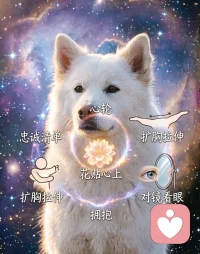 今日地球能量来到宇宙的白狗Kin130，它位于卓尔金历最中心的位置，被誉为“卓尔金历的心脏”。一个处在核心、代表着终极慈悲的印记！
核心心法：看见一切真实，依然选择爱。爱不是目标，是本来的样子。活出无条件之爱得学会先爱自己。
实操建议：
晨起手放心口，深呼吸7次：“我允许自己如其所是。”
写“忠诚清单”：三件真正想做的小事，逐一兑现，完成后说：“我值得被自己优先照顾。”
犯错时摸心口：“没关系，这就是人类的样子。”
给一人“无条件5分钟”：只听不分析，不说建议。
温柔拒绝：“我爱你，但我先照顾自己的心。”
开工前涂油在心轮：“我所做的一切，都是爱的延伸。”
表达前问：“这句话出于恐惧还是真心？” 如是前者，改写。
做一件无人知晓的善行（浇水、擦台面）。
扩胸拉伸或躺下打开胸腔5分钟。
20秒拥抱（或抱枕头/裹紧毯子），对自己说：“我陪伴你。”
7分钟小仪式：对镜看眼2分钟，把花贴心上，饮水收尾。
一句话肯定语： “我存在，就是爱的证明。”