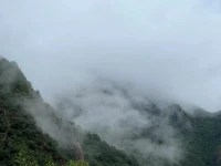 楊絳先生曾經這樣寫道：世態人情，比明月清風更饒有滋味，可作書讀，可作戲看。當你身居高位，看到的都是浮華春夢；當你身處卑微，才有機緣看到世態真相。配圖