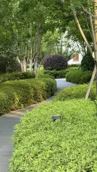 無力感就是“我的生活失控了，我的生活我掌控不了了”“我的情緒我掌控不了了”“我的心情我掌控不了了”“我對他人的理解產生了偏差，我的人際關系出現了很大的困難，而這一切的原因我都不知道，我都弄不明白了”。配圖