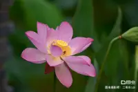 盧梭說：“大自然塑造了我，然后把模子打碎了。”勇敢地做自己，努力的塑造自己，明天的你會比今天的你更優(yōu)秀。配圖