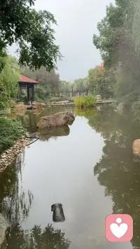 風度是深入骨子里的教養，是內在素養的外在表現，是對外的分寸感和對內的克制力配圖