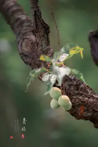 情绪是无法靠压抑和掩饰消除的，只有学会找到合适的疏解途径，为情绪转换频道，打造自己独特的心灵避难所，才能帮你避免一次次陷入情绪的漩涡。配图