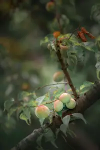 情绪是无法靠压抑和掩饰消除的，只有学会找到合适的疏解途径，为情绪转换频道，打造自己独特的心灵避难所，才能帮你避免一次次陷入情绪的漩涡。配图