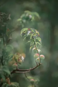 如果一个人总是指责你，觉得你不好，那么很可能他内心深处也存在对自己的不满。这种不满被投射到了你身上，让你感觉到了被针对。而实际上，他的指责可能只是他内心深处的不安和痛点的反映，与你并无直接关系。配图