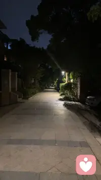 路灯不用太亮,小道不用太宽。十月的空气里都是桂花甜甜的气息,邂逅一只虎皮猫,它喜欢趴在小道上等我去抚摸它,它独来独往,步履从容,不会因为路过的人忽视它而自卑。它只是从容地活在当下,或躺,或窝,或在阳光里做白日梦。我只是经过它,不该强求它的梦里会有我。