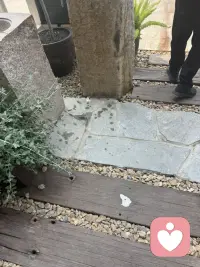 中年危机不能只关注童年创伤的延续，我们要看到中年的韧性和生命力的张弛，相信自己，我能行。每个人生阶段都有无限可能。配图
